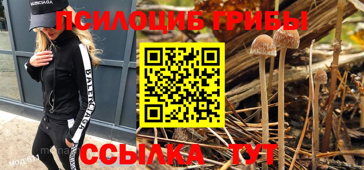 Галлюциногенные грибы Psilocybine cubensis Челябинск