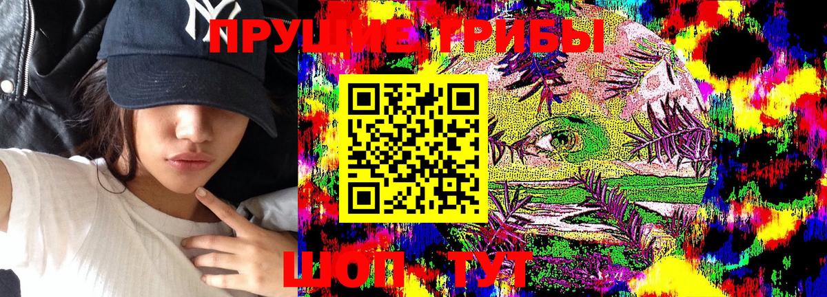 Галлюциногенные грибы GOLDEN TEACHER  Вход с VPN  Галлюциногенные грибы Psilocybe  Челябинск 